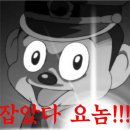 장평한우타운 | [평창 힐링 여행] 한우타운❤ 장평곰탕❤ 장평목욕탕 사우나❤장평모텔 코스 강력추천 (+방아다리 메밀...