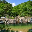 청정수풀 이미지