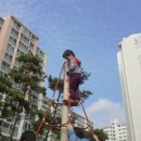 국수와김밥 이미지