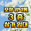양덕동198 이미지