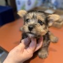 오픈주 하남스타필드점 이미지