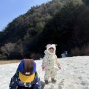 은호의 명절 연휴 이야기🙇🏻‍♂️❄️ 이미지