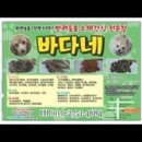 신대동물병원 - 순천시 신대2길 15 | 신대동물병원