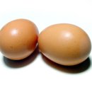 계란의 효능 이미지