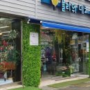 국제데코
