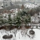 누니보배