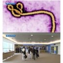 ‘에볼라 바이러스’ 확산국 라이베리아 A씨 대구 입국 후 실종 ‘감염 가능성은?’ 이미지