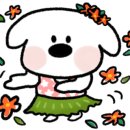 순수꽃차 이미지