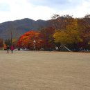 백봉초등학교 이미지