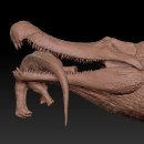 사르코수쿠스 이미지