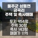 해솔부동산중개사무소 이미지