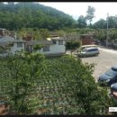 석양이 아름다운 형제섬 농원 이미지