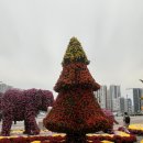 동구미꽃식물원