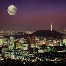 병팔이네