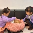 사분의삼 | 김해고양이카페 아이랑가볼만한곳 캣과사분의삼