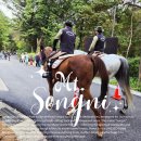 학암계곡등산로 대체 화장실 | [100대명산 속리산] 천왕봉 코스: 도화리(들머리)의 고즈넉함에서 법주사(날머리)의 웅장함으로(최단...