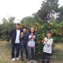 시우네농장 이미지