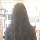 홍샘헤어