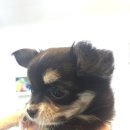 미스터멍 이미지