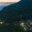 한가라지 이미지