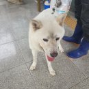 구미대로 이미지