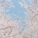 신현2리 마을회관 이미지