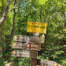 새구봉천 이미지