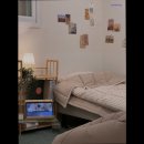 스테이카루 여성전용 이미지