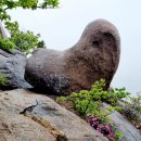 산청 합천 황매산, 감암산 우중산행(230506) 탐방기 이미지