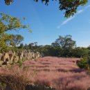 가을코스 이미지