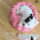 영이공구