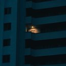 도유