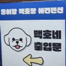 용이랑 백호랑 | 대부도 독채애견펜션 추천 용이랑백호랑- 백호네 후기 (feat. 날달걀토리닐라 )