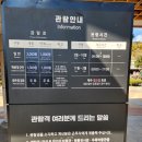 강림조립식건축 | [대구근교] 아름다운 풍경의 고분군 고령 가볼만한곳 대가야박물관