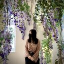 306 | [지수로그 / 21.05.17 ~ 21.05.23] 야근부터 휴가까지 힘듦과 행복이 공존해