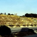 창원 내동패총 이미지