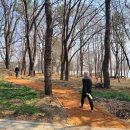 시민문화체육공원 산책로 프레시안