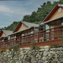 어비 포레스트 이미지