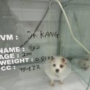 동물병원 더 메이 이미지