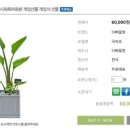 이삐꽃방 네이버블로그