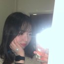 [네덜란드 교환학생] 7주차_평화로운 일상과 파격적인 암스테르담 나들이