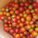 시흥1동주민센터 이미지