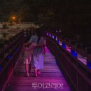 분당정자1-A-9 이미지