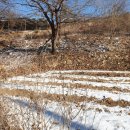 여주-1045 이미지