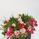 관악병설유치원 이미지