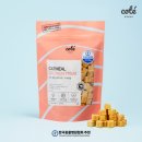 한국동물병원 이미지