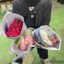광끼 - 중구 수표로6길 25 | 가격 공유(흰카라부케, 빨간거베라부케, 스윗핑크부케, 라넌 레이디핑크부케_광끼의 셀프부케 만들기)