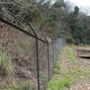 멧돼지 태양광발전소 이미지