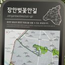 장안2제방 이미지