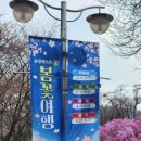 동그라미 수제비(관촌시장) | 부천 원미산 진달래축제 실시간 후기 (4월 1일 방문, 개화 절정, 명당, 코스 총정리)